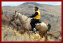 Horse and rider climb a rocky, brush-strewn hillside