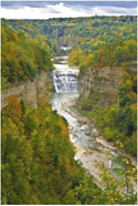 Aireal Photo of waterfall and river surreounded by trees just beginning to change color for the fall