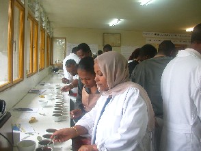 Image of Ethiopian coffee tasters hone their skills during a Coffee Corps Advanced Cuppers Training Seminar.