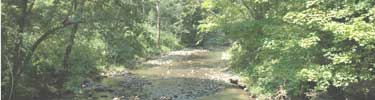 view of Bluestone river