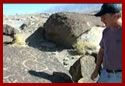 Photo of Kirk Halford, Archeologist, at Fish Slough Petroglyphs