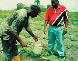 Photo: USAID Farmer to Farmer volunteers and farmers from the Friendship Cooperative test soil in the cassava and sweet potato fields.