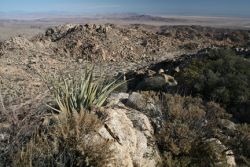 acumba Wilderness Area