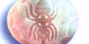 Picture of ancient shell carving of spider