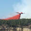 Plane releasing slurry (fire retardant) during a wildfire.