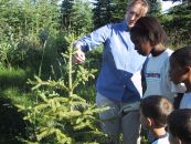 A woman points out plants growing on a small spruce tree to young students.