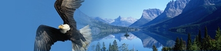 eagle in flight with mountain background