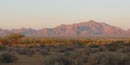 A view of Organ Pipe Cactus National Monument