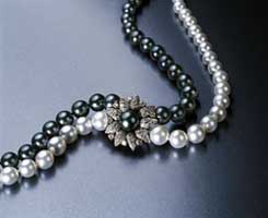 Cultured pearls, (photo: Mikimoto Company, Japan)