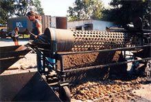 mussel processing operation