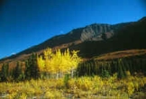 Fall colors in the Wrangell Mountains