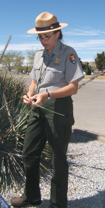 Ranger in the Park