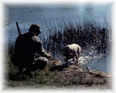 Hunter with Dog Photo