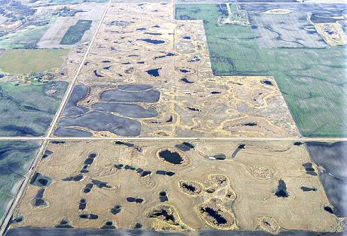 Aerial photo of land covered with small wetlands - Photo credit:  U.S. Fish and Wildlife Service