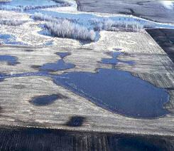 Aerial photo of a the same wetland basin full of water - Photo credit:  U.S. Fish and Wildlife Service