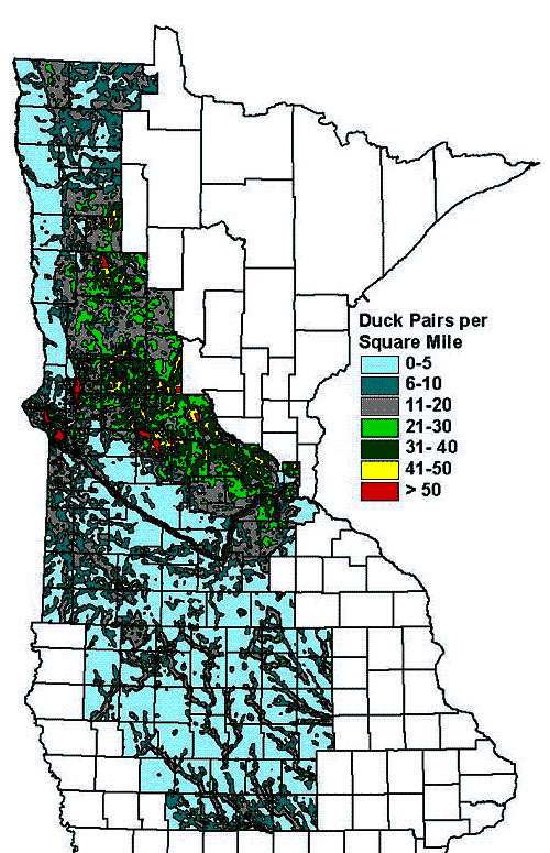 Map showing the pairs of nesting ducks per square mile in parts of Minnesota and Iowa - Credit:  U.S. Fish and Wildlife Service / 