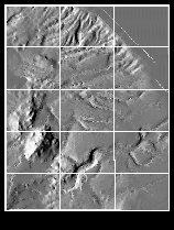 [Shaded Relief Mosaic]