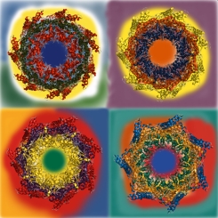 PLoS Computational Biology Cover Image