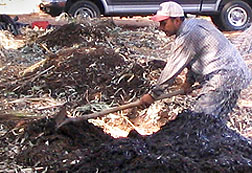 Photo:Compost pile being raked in Jordan. Link to photo information