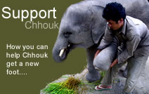 Support Chhouk