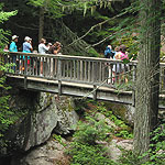 visitors at the Avalanche Gorge Bridge