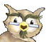 Owlie Skywarn Icon