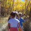 hiking through an aspen grove