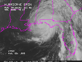 TROPICAL PREDICTION CENTER/ERIN95 PRELIM