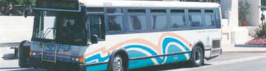 south coast area transit bus