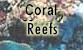 Coral Reefs