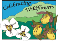 Celebrate Wildflowers image