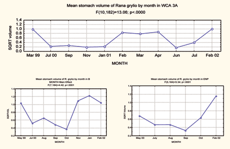 graphs showing mean total stomach volume of Rana grylio from three study sites in the Everglades during 2001-2002