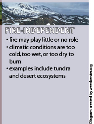 Diagram describing FIRE-INDEPENDENT ecosystems where fire may play little or no role in fire-independent ecosystems because conditions are too cold, too wet, or too dry to burn. Examples include deserts and tundra.  