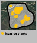 Diagrams illustrating distinctions between inventory, survey, mapping, and monitoring. 