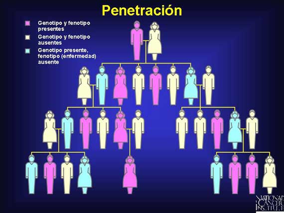 Penetración