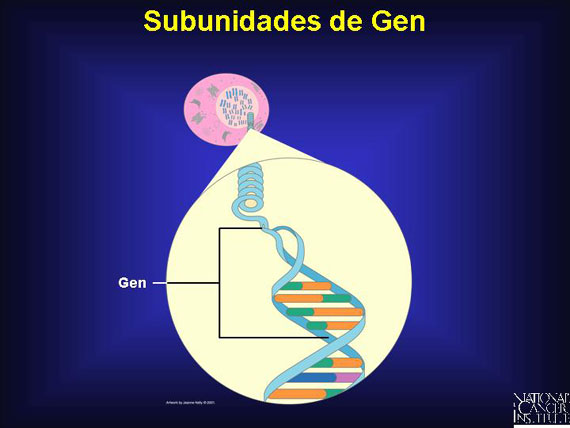 Subunidades de Gen