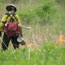 A firefighter sets a prescribed fire in the tallgrass prairie.