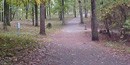 On a beautiful fall day, the colors of the trees make the deadliest part of Kennesaw Mountain battle look serene.