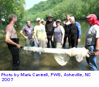 Photo by Mark Cantrell, FWS, Asheville, NC 2007