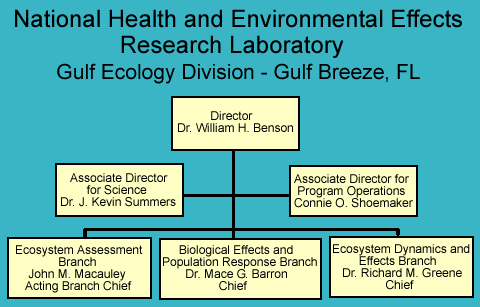 Gulf Ecology Organizational Chart