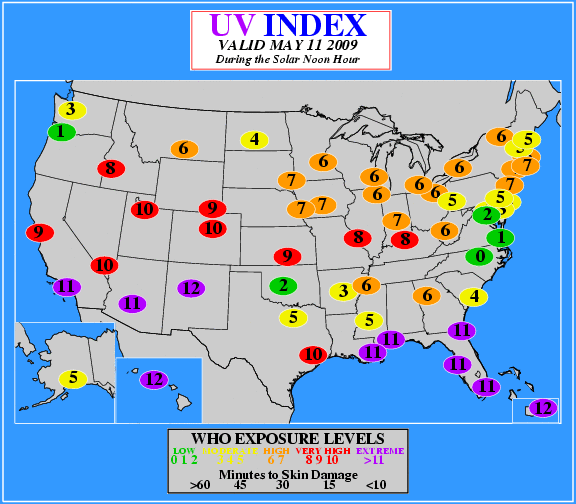 Daily UV Index Map