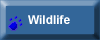 Wildlife