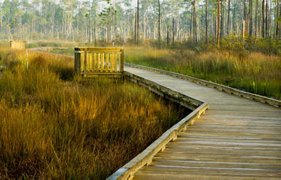 Photo of the new boardwalk on the Boy Scout Road Trail