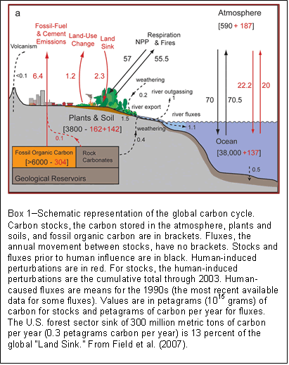 Box 1-Schematic representation of the global carbon cycle. Carbon stocks, the carbon stored in the atmosphere, plants and soils, and fossil organic carbon are in brackets. 