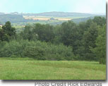 Photo of an open field / Photo credit: Richard J. Edwards