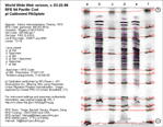 Calibrated IEF Gel Image