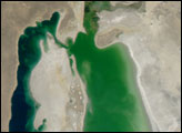 Aral Sea