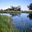 Manzanita Spring