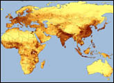 Human Consumption of Net Primary Production