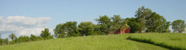 A red barn on the ridge of a green prairie.